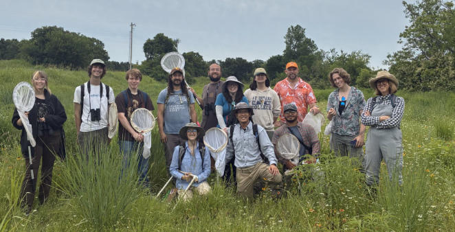 caterpillar on flower