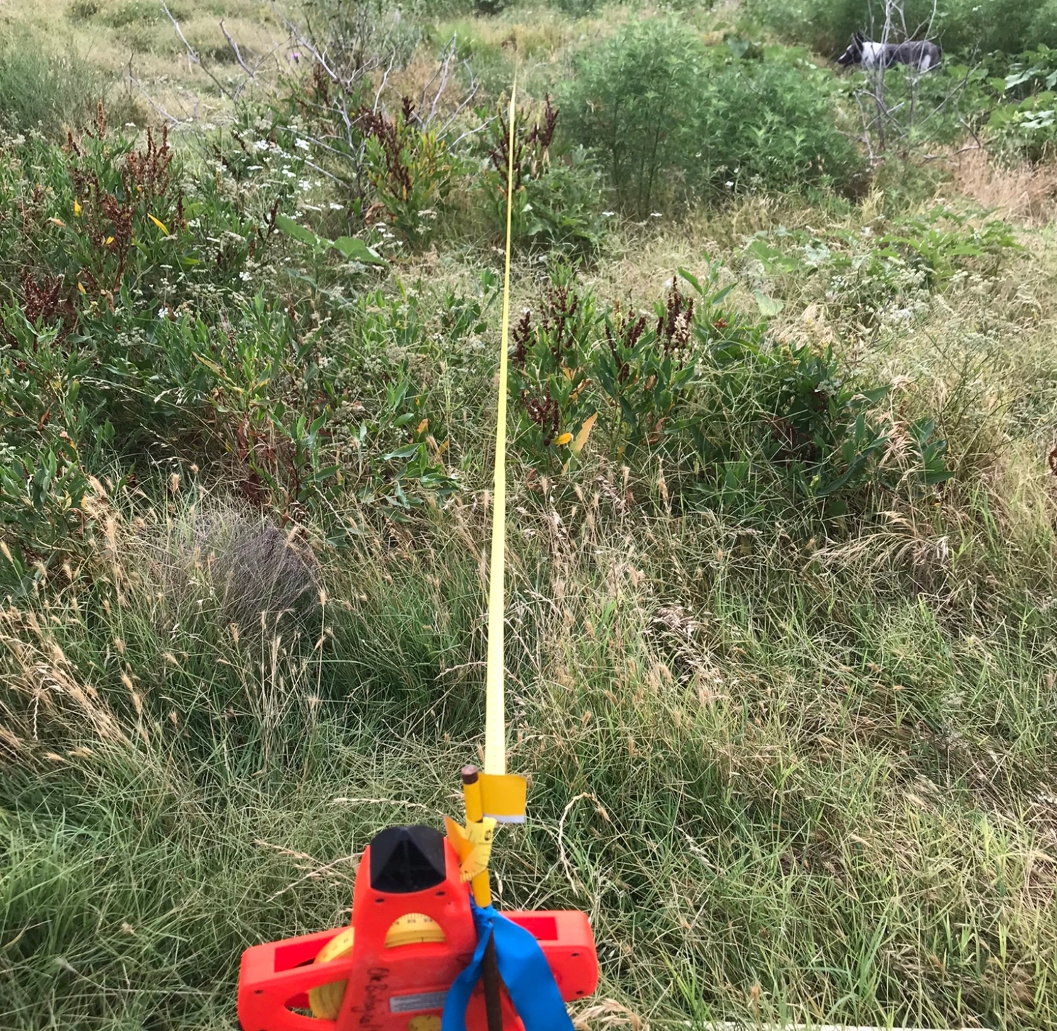 field tool sectioning off field site