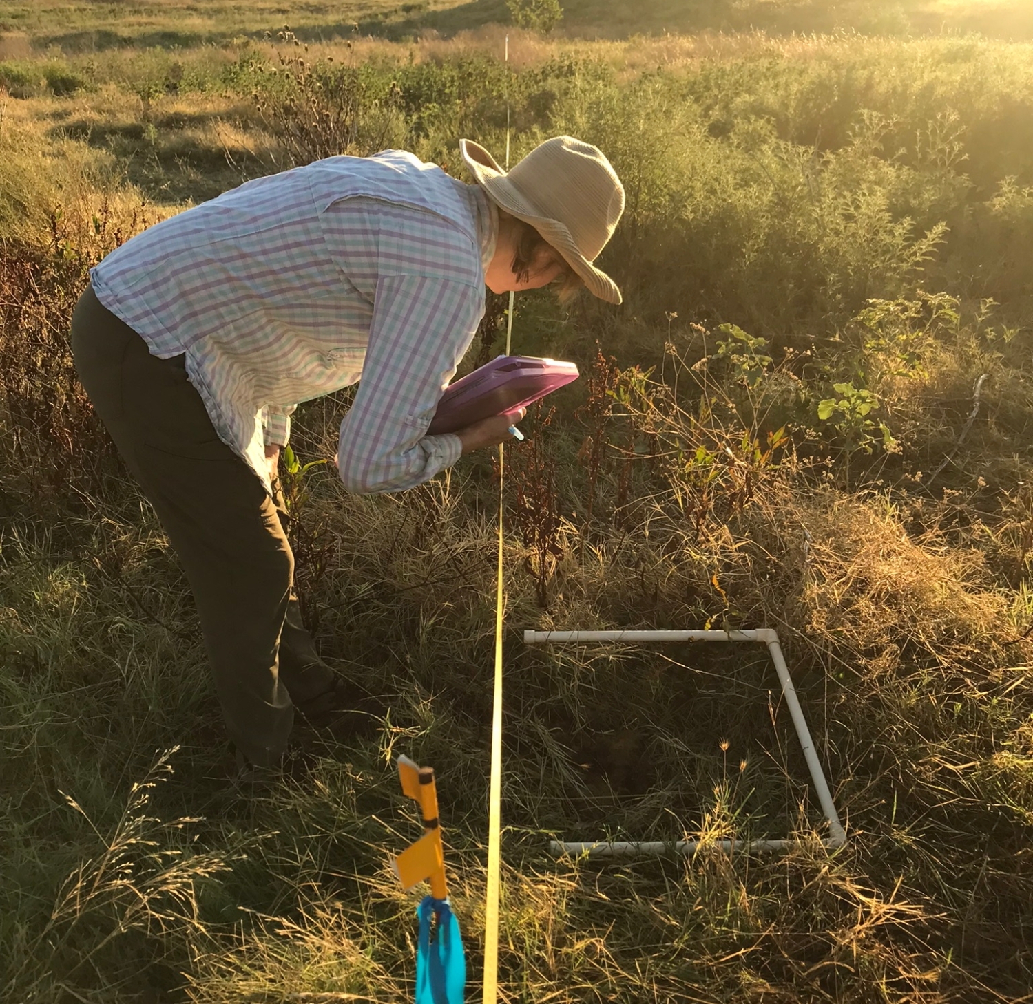 researcher making observations of field site