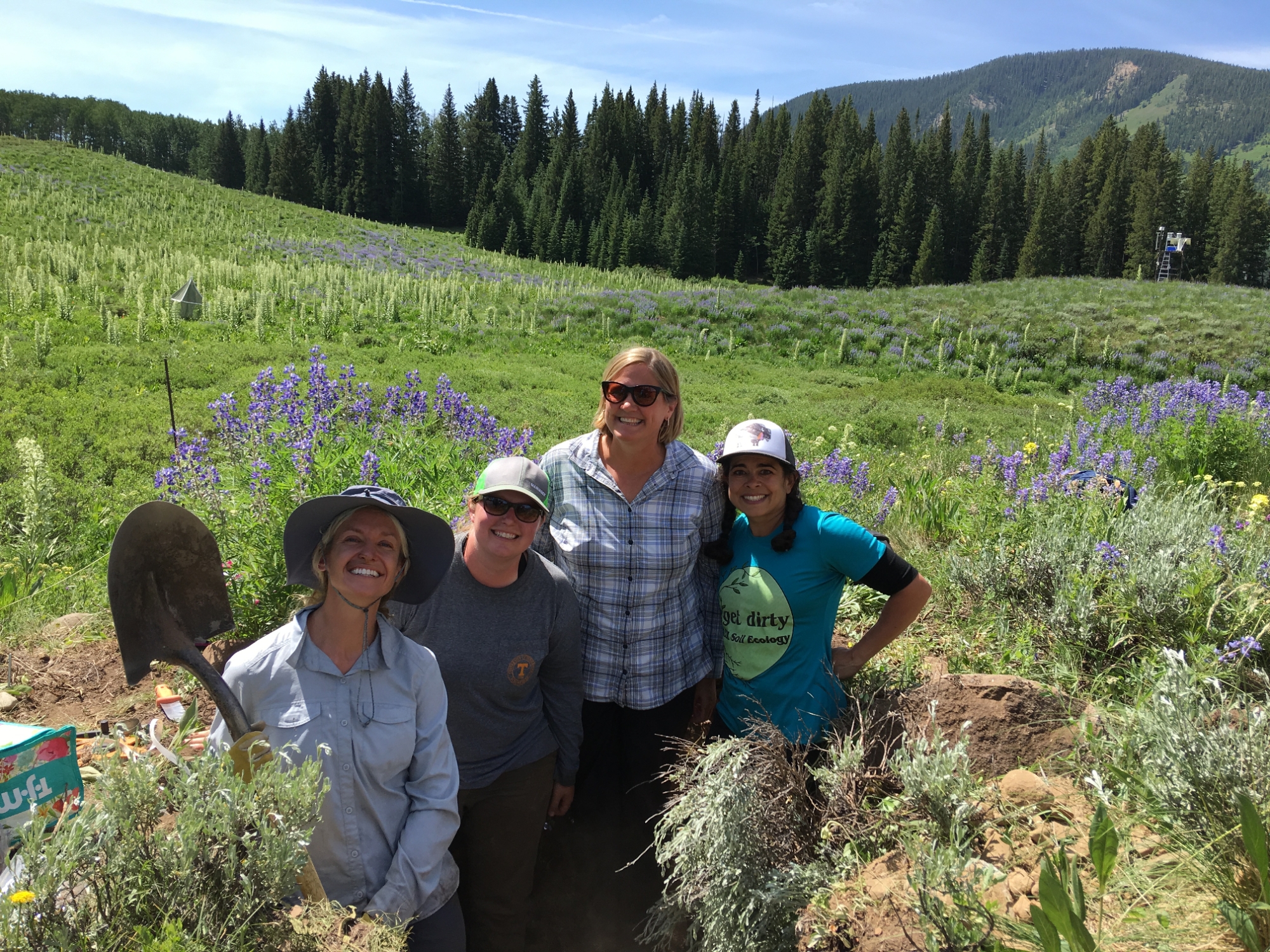 four researchers in the field