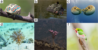 Cover for Renewable agriculture and food systems journal