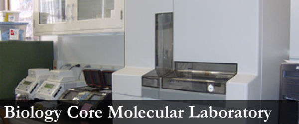Biology core molecular laboratory banner image