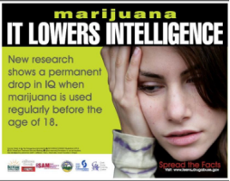 Marijuana, it lowers intelligence. New research shows a permanent drop in IQ when marijuana is used regularly before the age of 18.