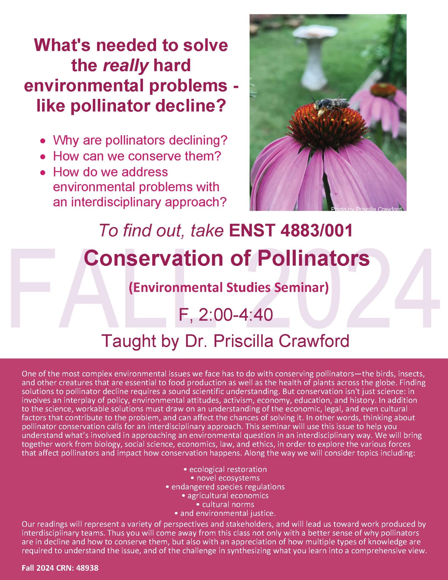 What's needed to solve the really hard environmental problems - like pollinator decline? • Why are pollinators declining? • How can we conserve them? • How do we address environmental problems with an interdisciplinary approach? To find out, take ENST 4883/001 Environmental Studies Seminar F, 2:00-4:40 Taught by Dr. Priscilla Crawford Photo by Priscilla Crawford One of the most complex environmental issues we face has to do with conserving pollinators—the birds, insects, and other creatures that are essential to food production as well as the health of plants across the globe. Finding solutions to pollinator decline requires a sound scientific understanding. But conservation isn't just science: in involves an interplay of policy, environmental attitudes, activism, economy, education, and history. In addition to the science, workable solutions must draw on an understanding of the economic, legal, and even cultural factors that contribute to the problem, and can affect the chances of solving it. In other words, thinking about pollinator conservation calls for an interdisciplinary approach. This seminar will use this issue to help you understand what’s involved in approaching an environmental question in an interdisciplinary way. We will bring together work from biology, social science, economics, law, and ethics, in order to explore the various forces that affect pollinators and impact how conservation happens. Along the way we will consider topics including: • ecological restoration • novel ecosystems • endangered species regulations • agricultural economics • cultural norms • and environmental justice. Our readings will represent a variety of perspectives and stakeholders, and will lead us toward work produced by interdisciplinary teams. Thus you will come away from this class not only with a better sense of why pollinators are in decline and how to conserve them, but also with an appreciation of how multiple types of knowledge are required to understand the issue, and of the challenge in synthesizing what you learn into a comprehensive view. Fall 2024 CRN: 48938 FALL 2024