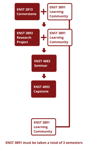 A flow chart describing the core course sequence. ENST 2813: Cornerstone is taken with ENST 3891: Learning Community. Then ENST 3893: Research Project is taken with ENST 3891: Learning Community. Then ENST 4883: Seminar is taken, followed by ENST 4893: Capstone. ENST 3891: Learning Community is taken another time. ENST 3891 must be taken a total of 3 semesters