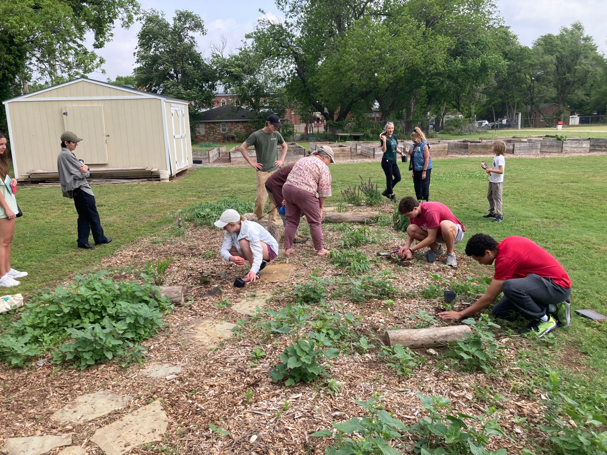 Students and professors work in the community garden