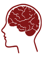 A crimson icon of a human head and brain.