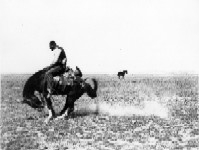 A man riding a bucking bronco in black and white.