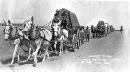 A line of horse-drawn wagons in black and white.