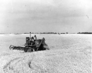A tractor in a field in black and white.