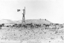 A windmill surrounded by animals in black and white.