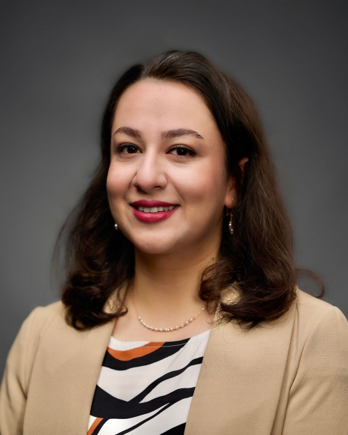 Mina Raminsabet