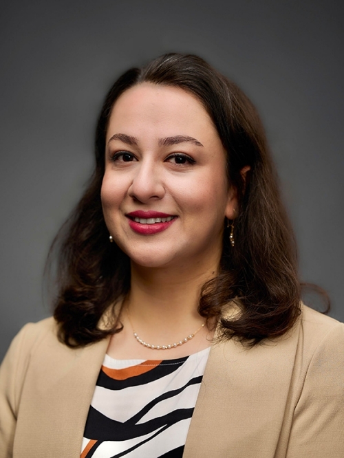 Mina Raminsabet