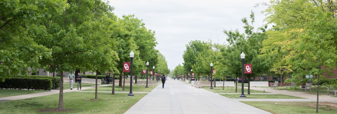 view down walkway with green trees and ou banners on lightposts