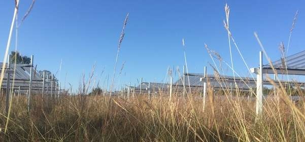 Drought experiment at Kessler