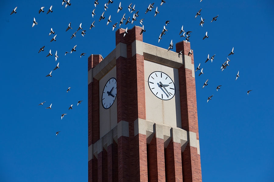 Bizzell Library clocktower. 