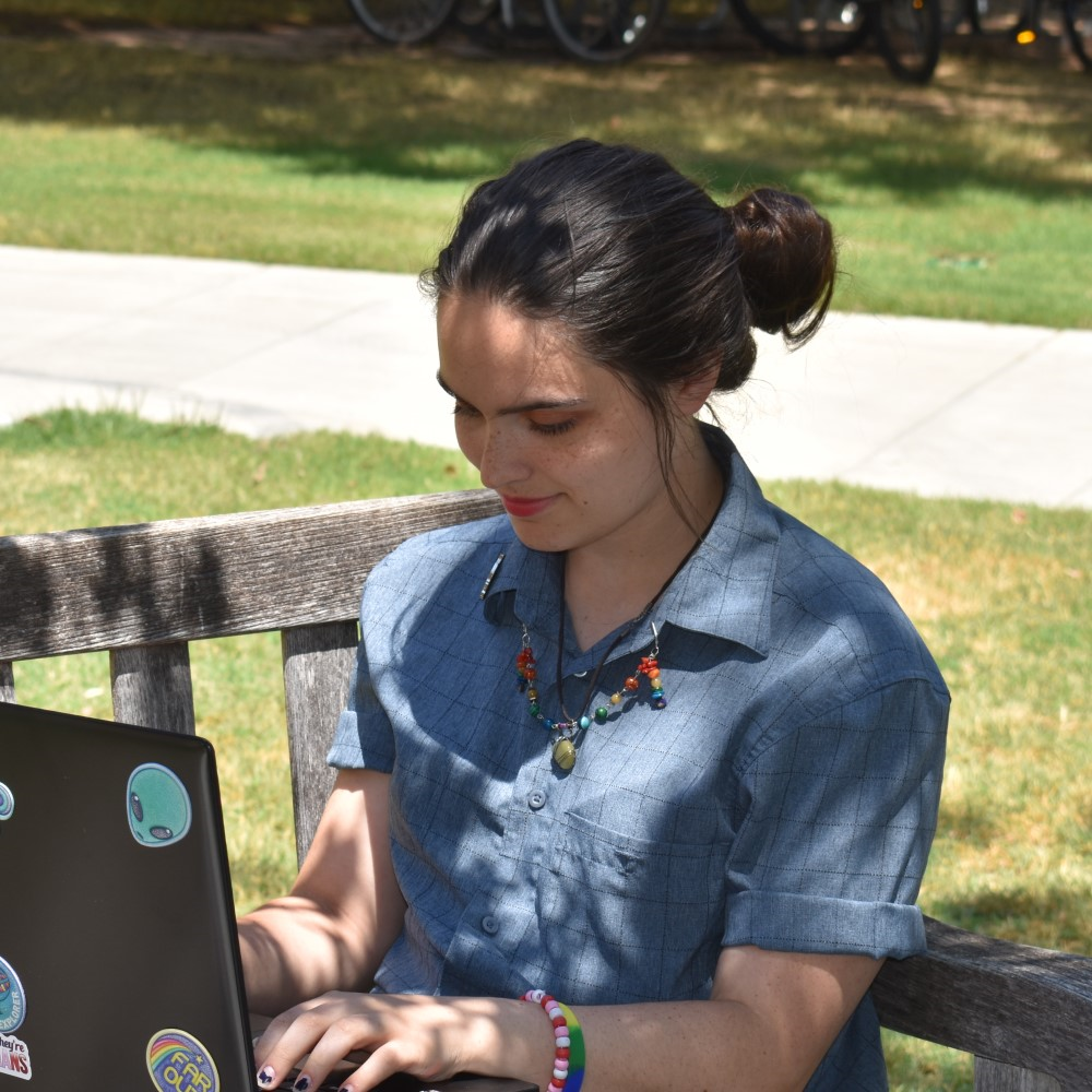 An undergraduate student works on computational research over the summer.