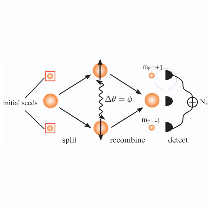 Cartoon of our seeded spin-mixing interferometer. Shown is an example with a double-seeded initial state.