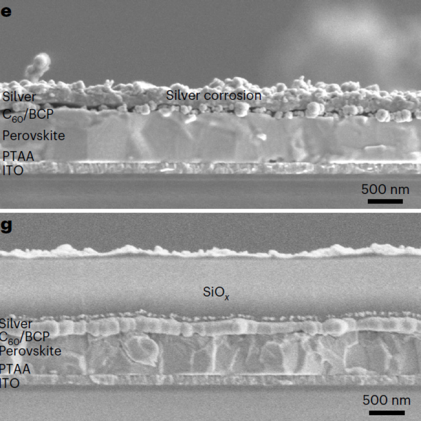 X-SEM images for UVO-treated devices without SiOx (e) and with SiOx (g).