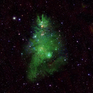 An image of the Christmas Tree Cluster.