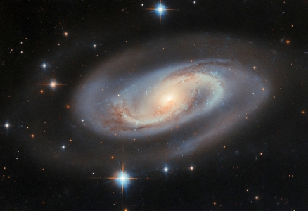 Hubble Space Telescope image of spiral galaxy UGC 11397, which hosts an active galactic nucleus (AGN). 
