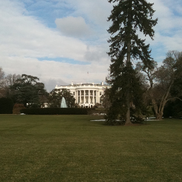 The White House in Washington DC.