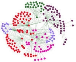 photo of ta network analysis