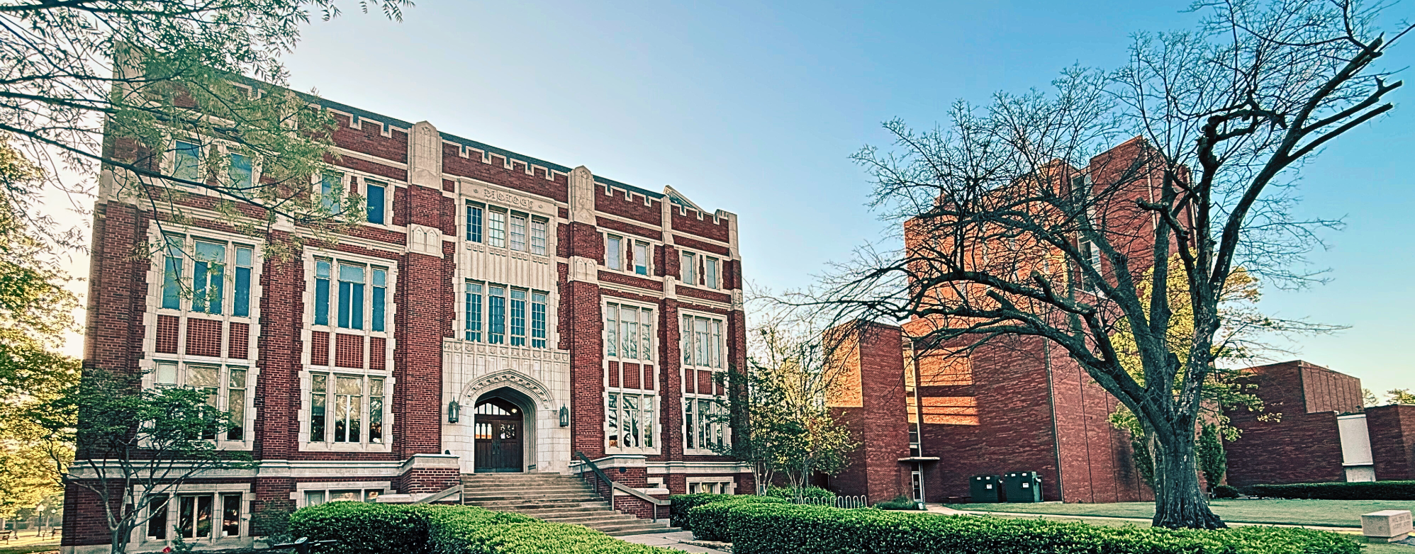 A walkway surrounded by trees and lampposts with OU flags in Norman, Oklahoma.