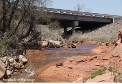 a stream running underneath a bridge
