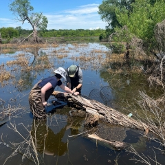 two students standing in a lake looking at a piece of wood