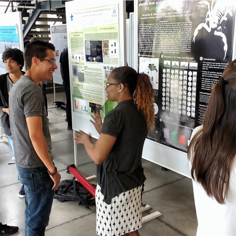 Two students discussing a poster.