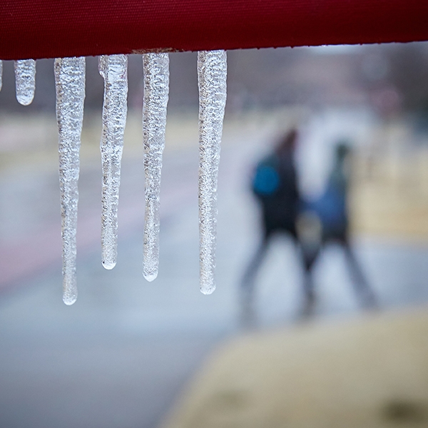 Icicles hanging with students walking on a sidewalk in the background.
