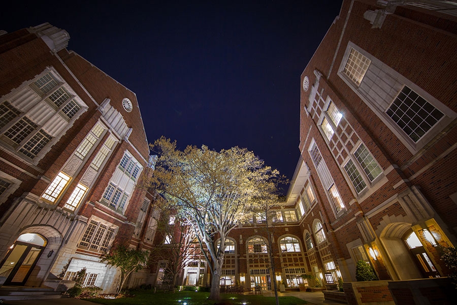 The courtyard of the Law building, with trees and a night sky.