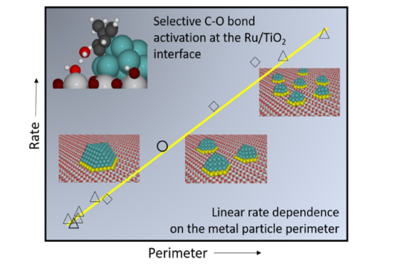 Linear rate dependence on the metal particle perimeter