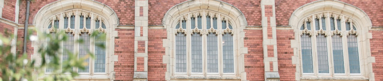 Macro view of the side of the Bizzell Library's windows.
