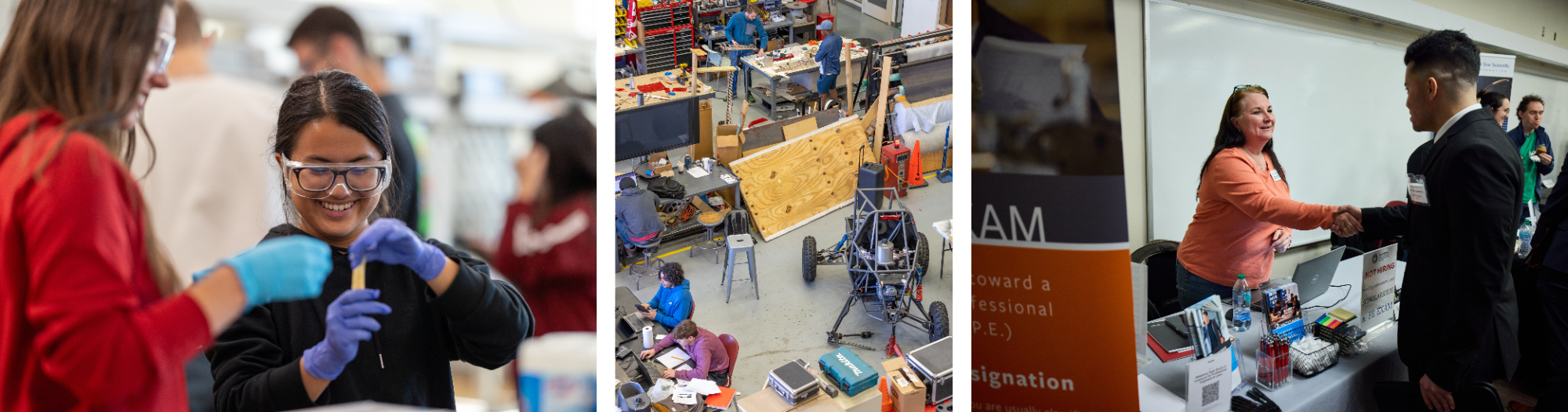 Trees with OU logo in the background