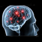 neuro graphic of human brain