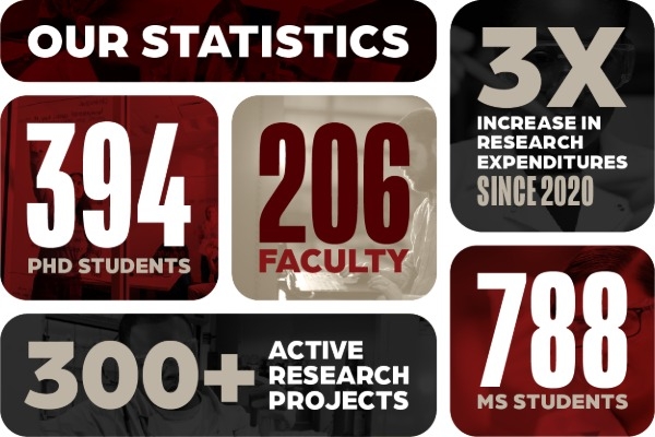 Graphic of graduate program stats. 
