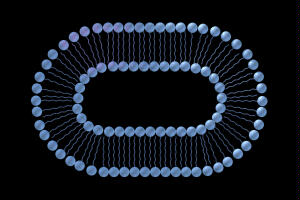 vesicle