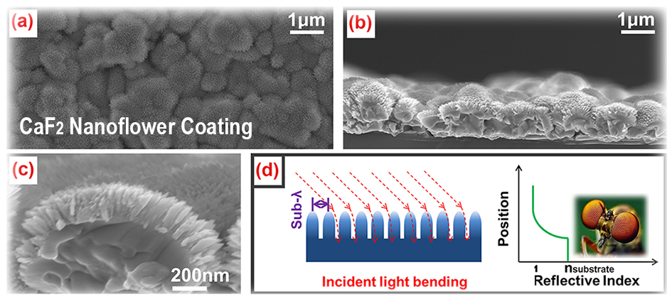 nanoblade-array coating 