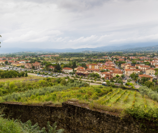 Arezzo landscape