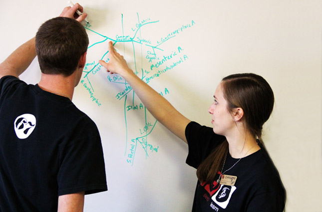 Two people writing on a whiteboard.