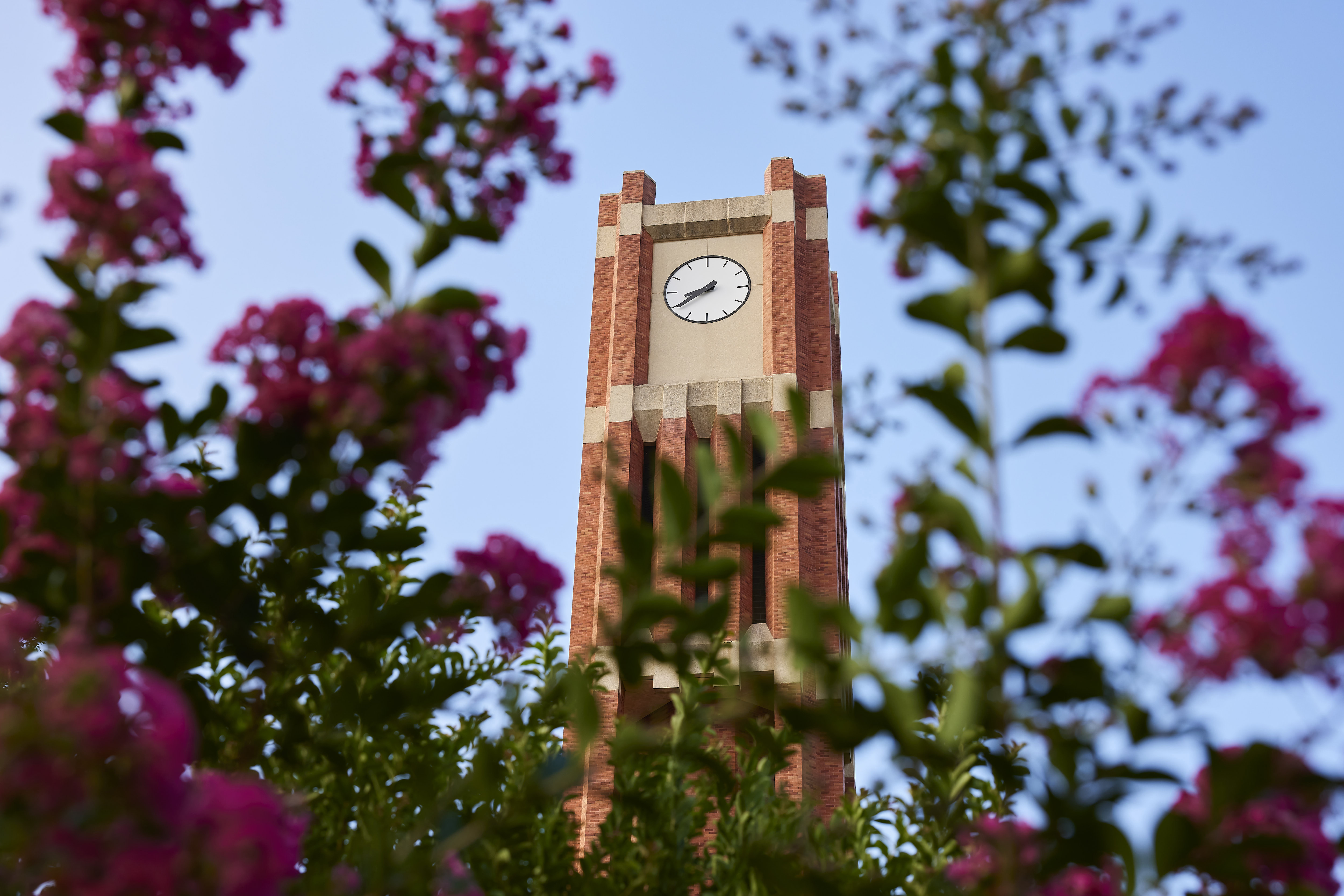Bizzell Library.