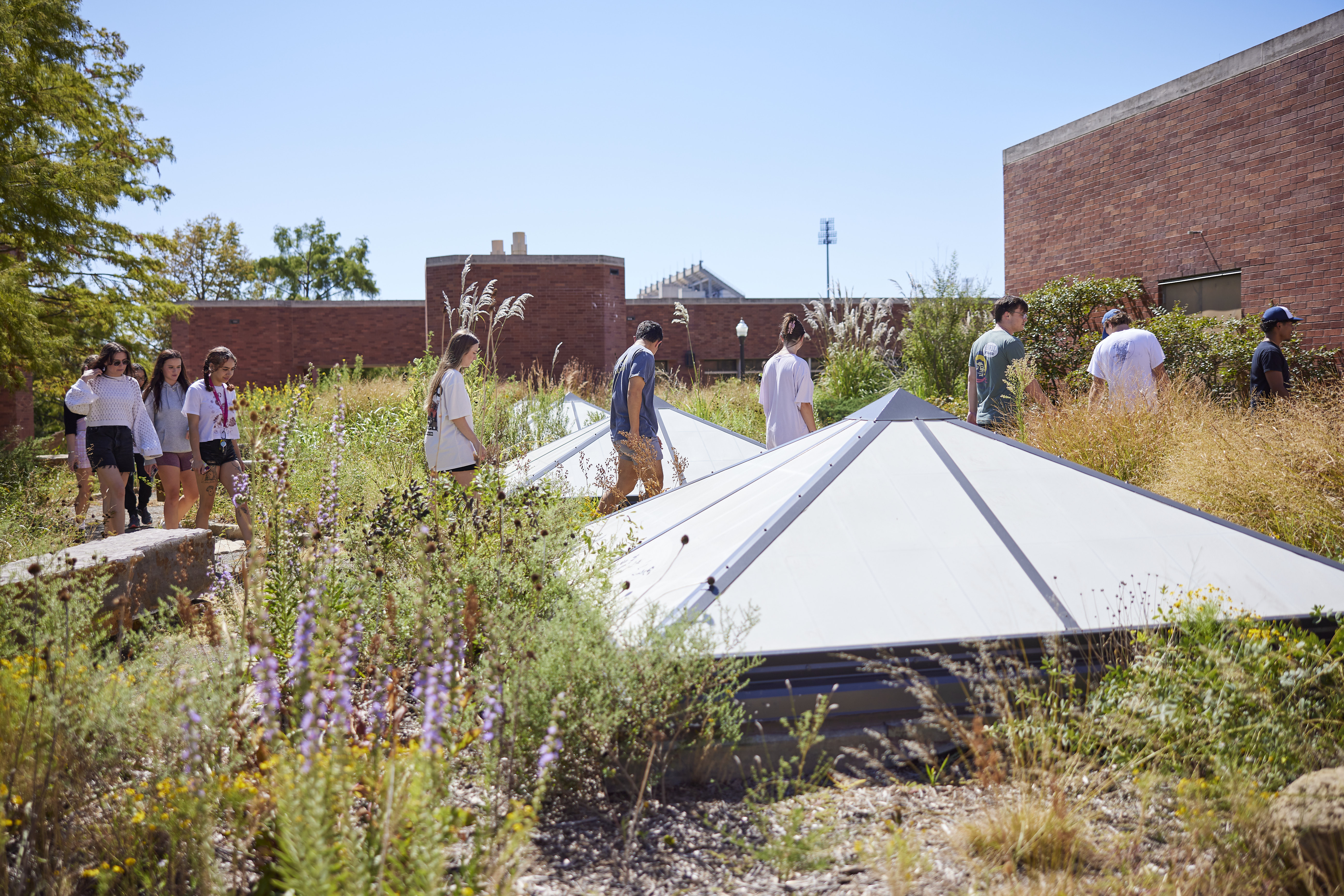 Students in butterfly garden.