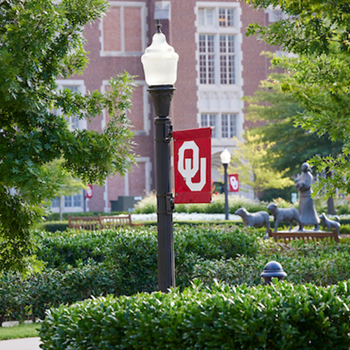 A lamppost with an OU flag, surrounded by trees.