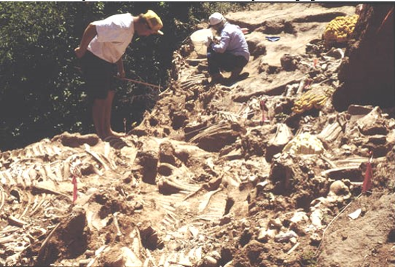 Archaeologists at the Cooper Site.