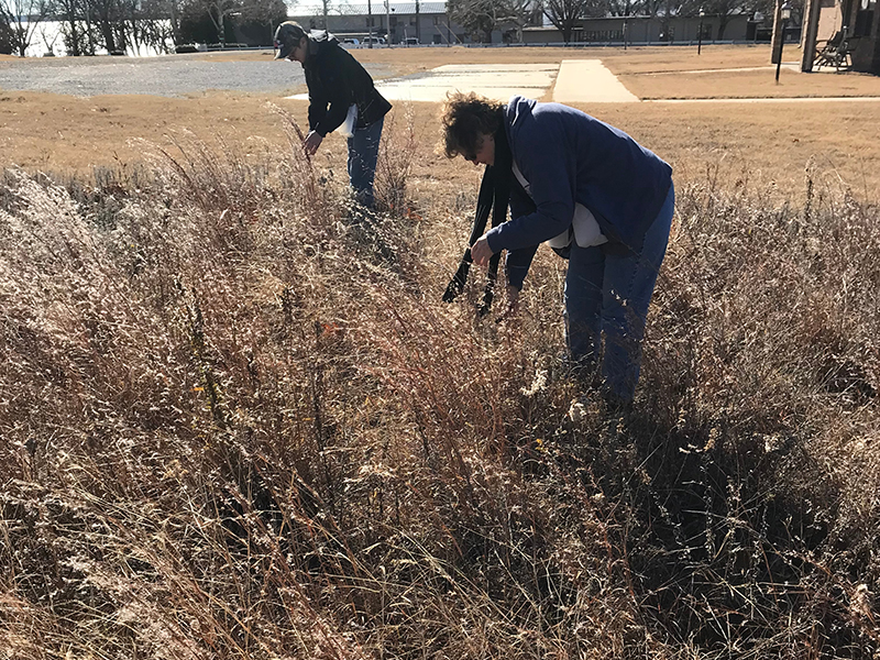 Two people collecting seeds in a remnant prairie patch in the fall