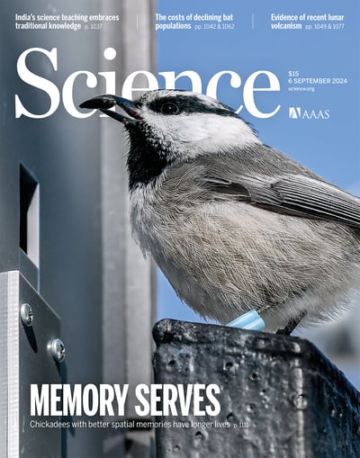 Chickadee on the cover of Science