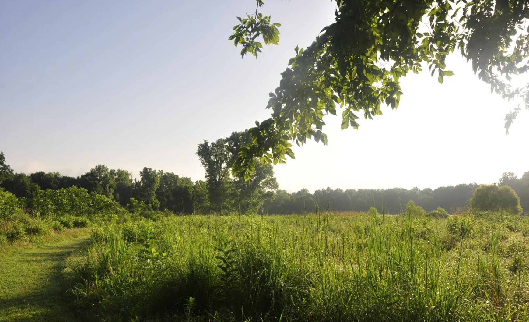 Meadowlark Prairie at Oxley Nature Center