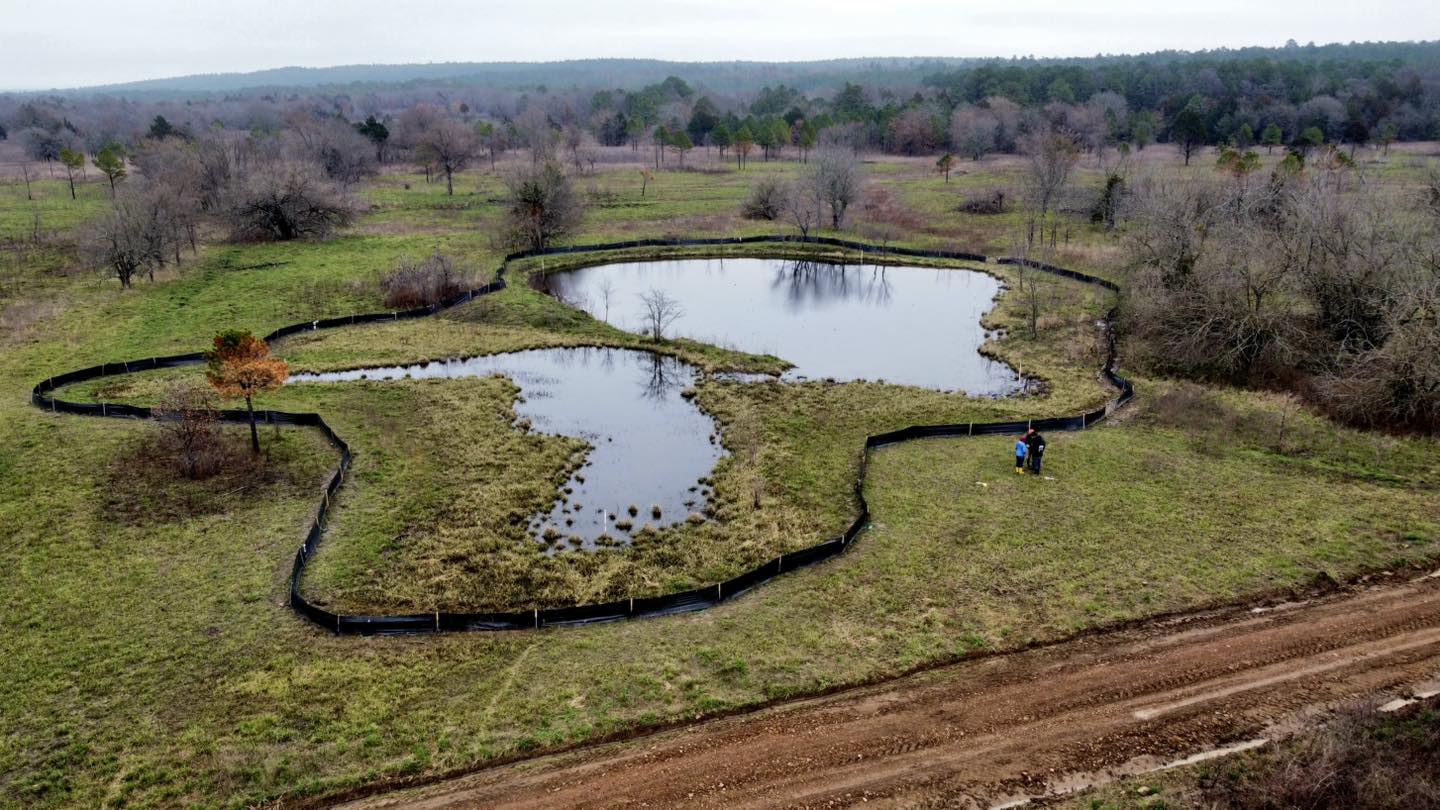 Aerial view of ponds fenced off for frog survey